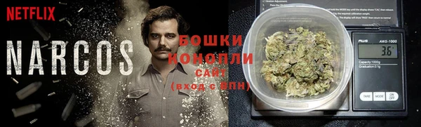 spice Новодвинск
