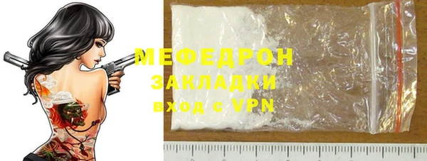 индика Новозыбков