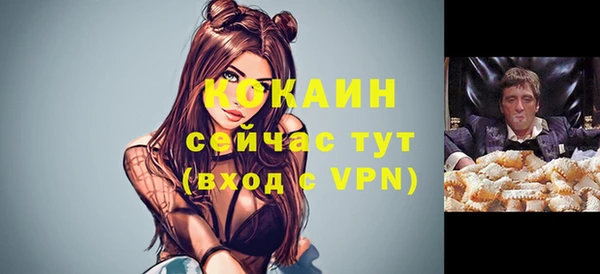 индика Новозыбков