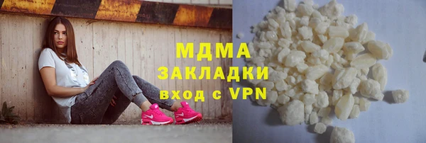 индика Новозыбков
