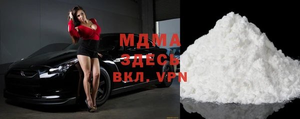 индика Новозыбков