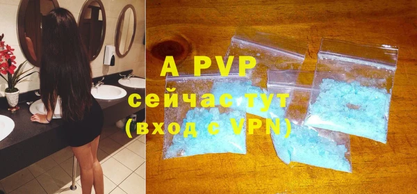 индика Новозыбков