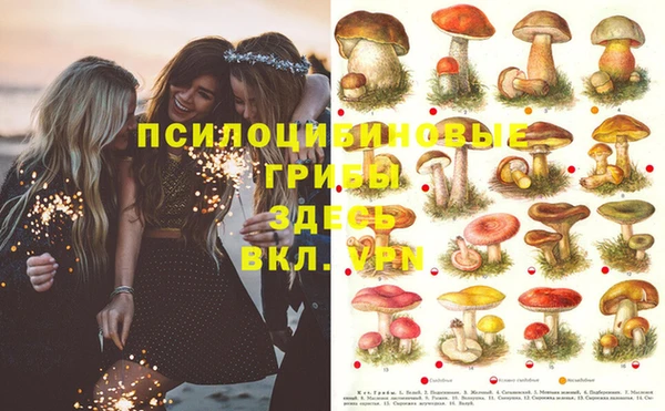 дмт Нефтегорск