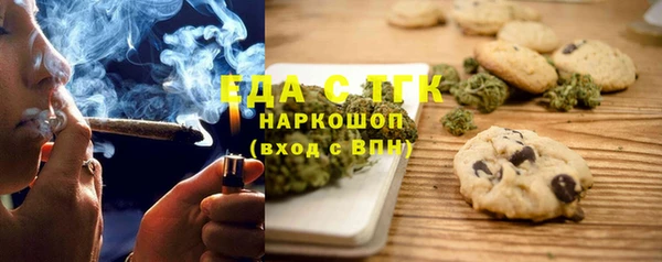 индика Новозыбков