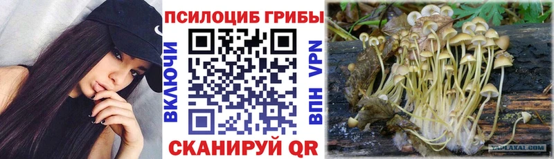 Псилоцибиновые грибы Cubensis  Мамоново 